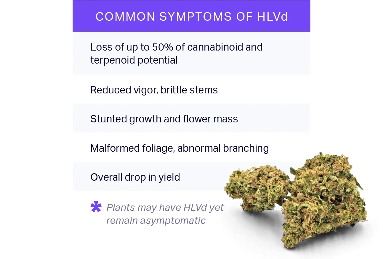 HLVd Symptoms table